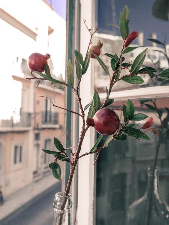 Cozy Lisbon Janelas Verdes 아파트 외부 사진